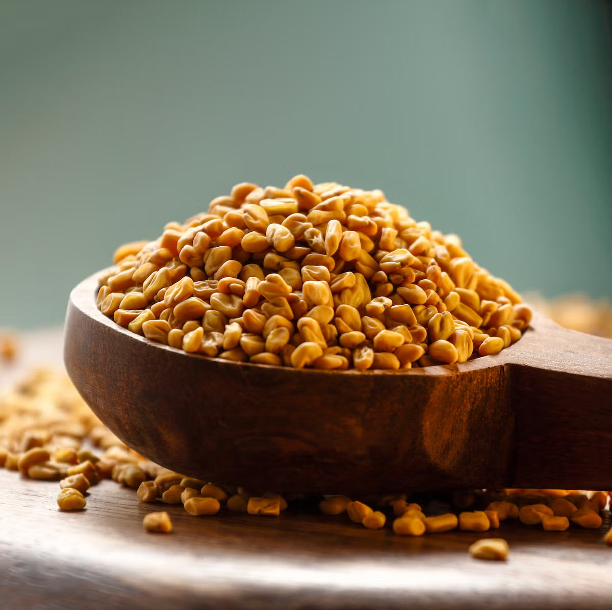 Fenugreek plant illustration, natural supplement for energy, libido enhancement, hormonal balance, and stress support