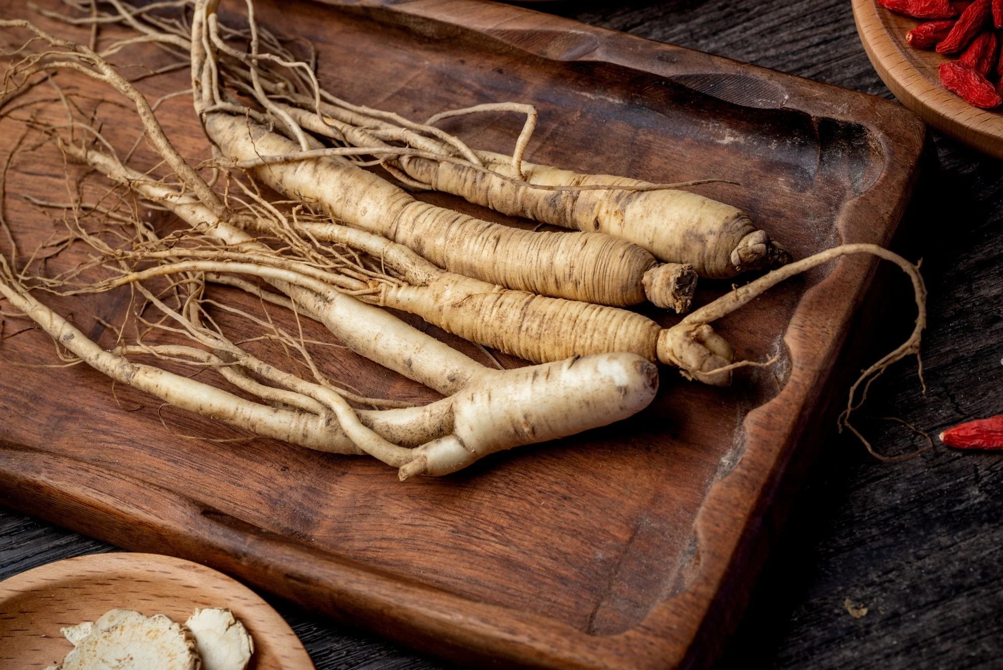 Red ginseng root illustration, natural adaptogen for energy, libido, stress relief, and mental focus